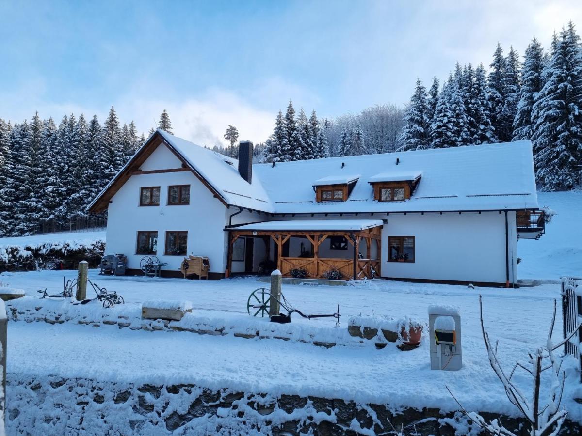 Apartmány u Petra Lipová-lázně Exteriér fotografie